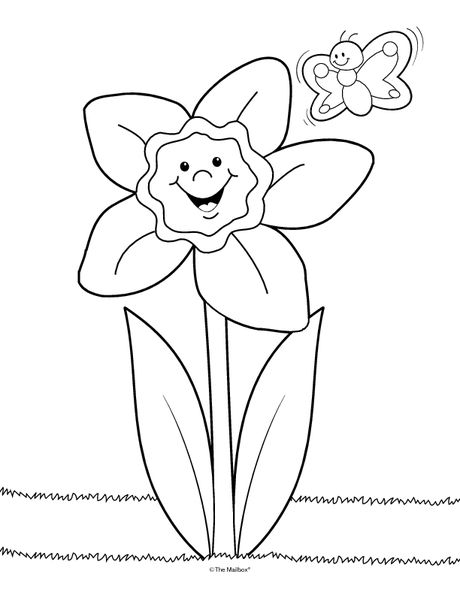 daffodil clipart colouring page