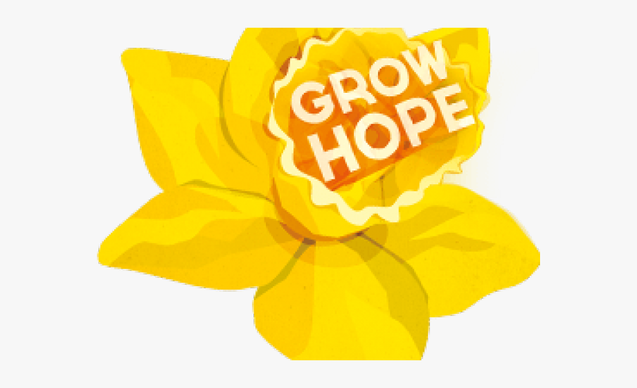 Transparent background . Daffodil clipart daffodil day