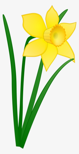 daffodil clipart daffodil day