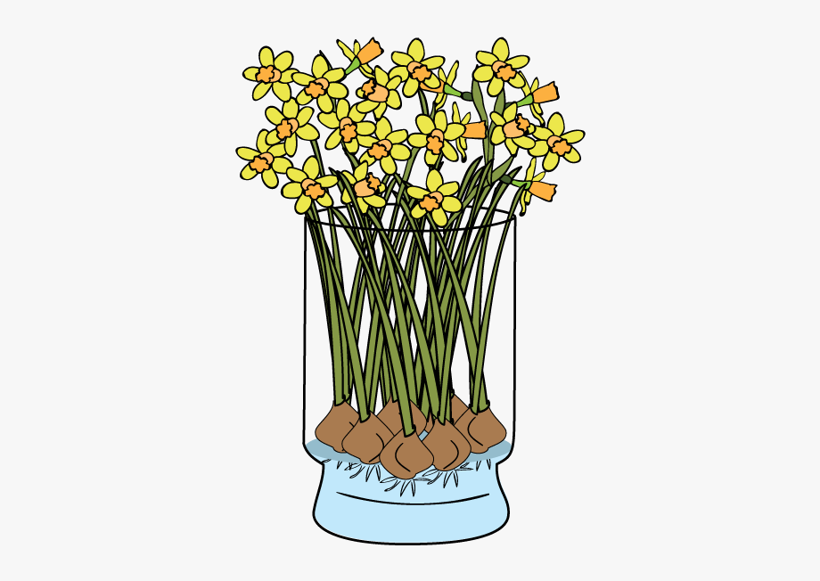 Daffodil Clipart Early Spring Flower Picture 253 Daffodil Clipart Early Spring Flower