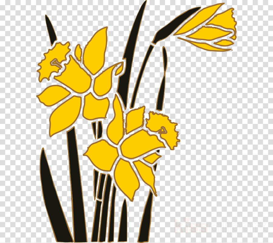 daffodil clipart garden