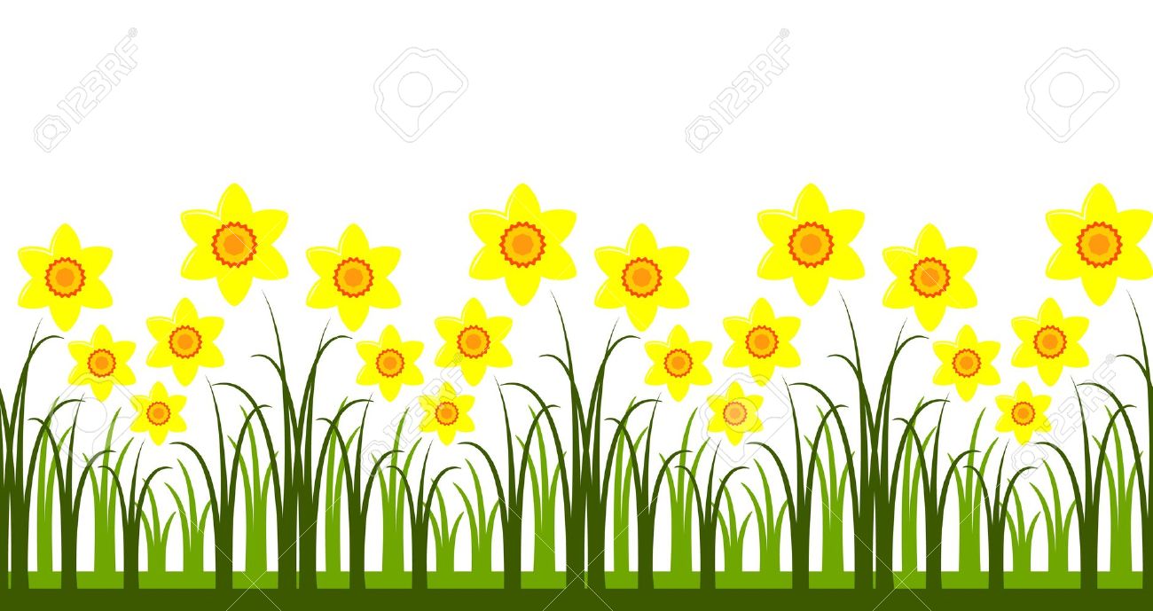 daffodil clipart golden