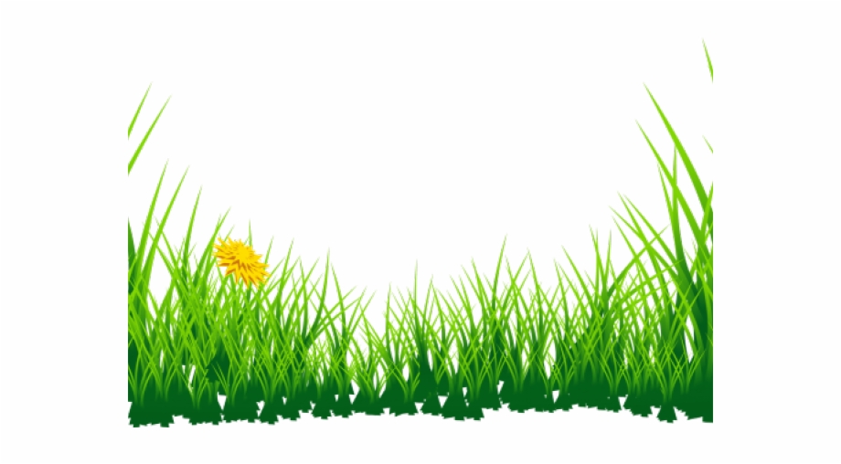 Daffodil clipart grass. Daffodils nature cb background