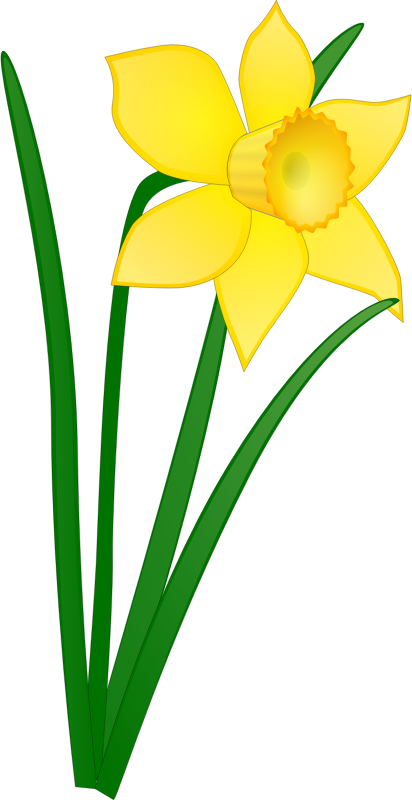 daffodil clipart lamb