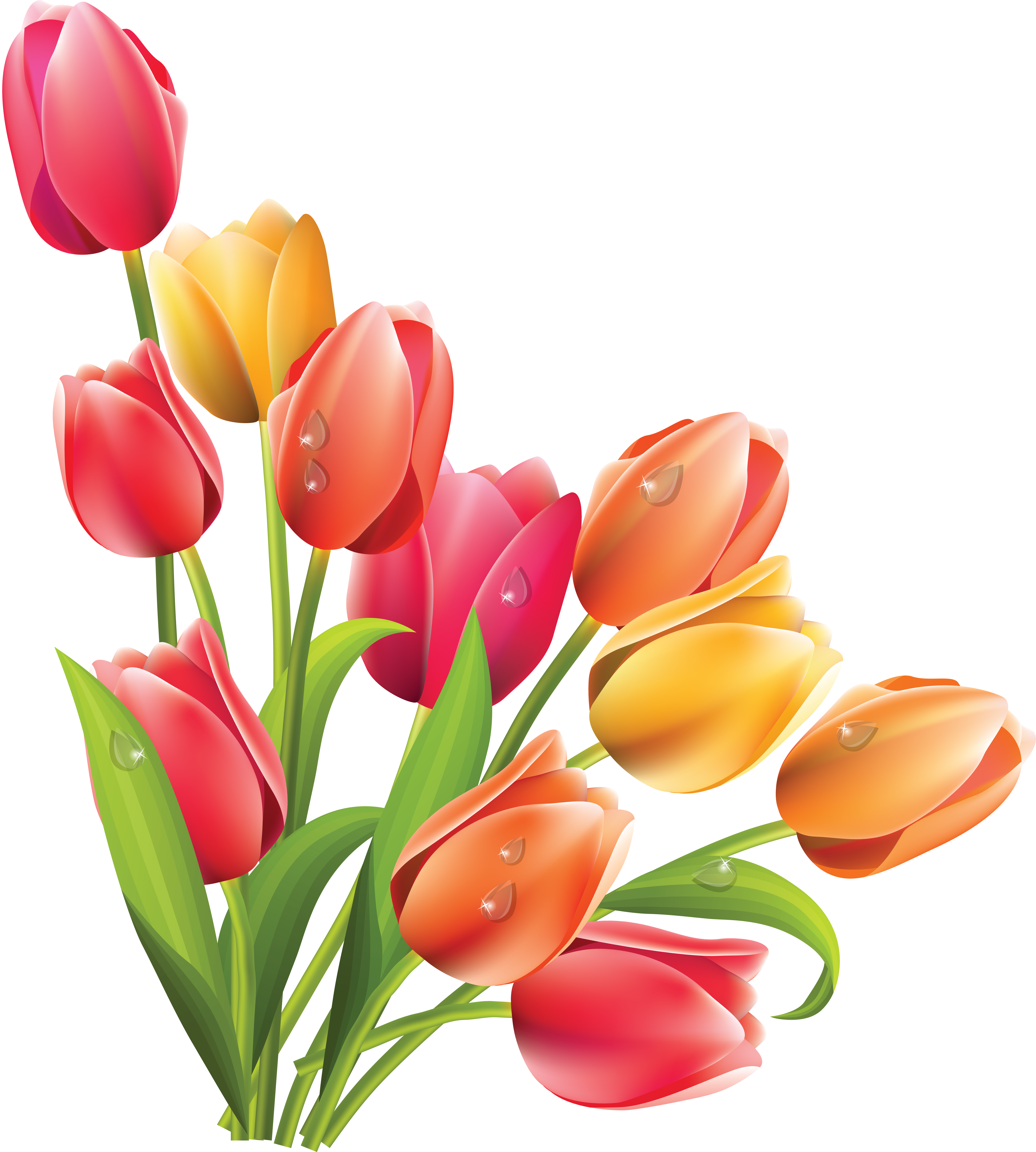 daffodil clipart march flower