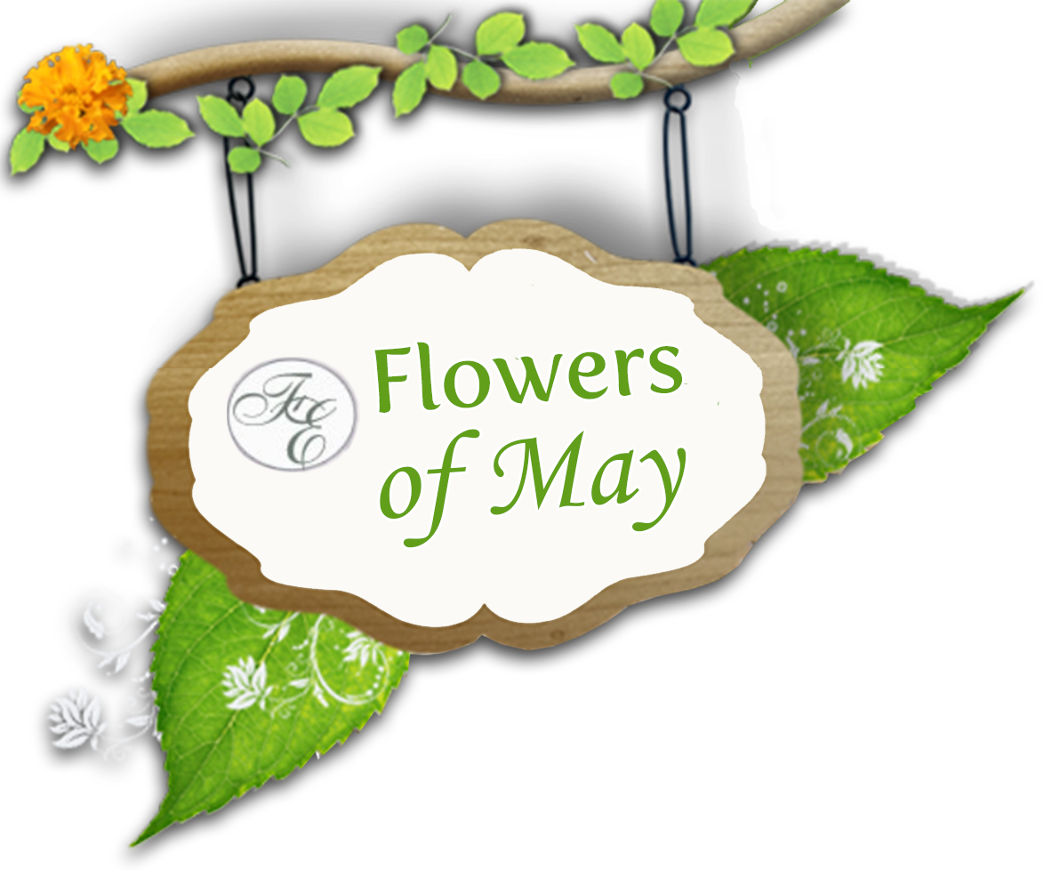 May flower clip art. Daffodil clipart mayflower