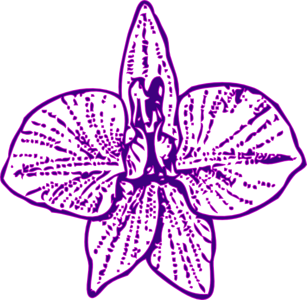 Orchid outline pure clip. Daffodil clipart orkid