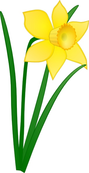daffodil clipart periwinkle