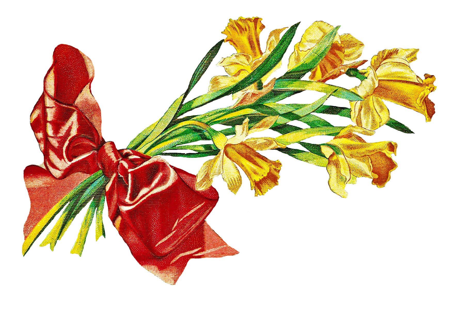 postcard clipart clip art