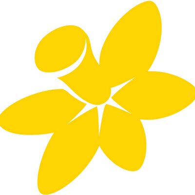daffodil clipart relay for life