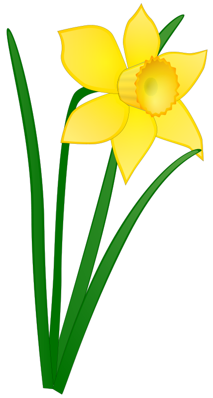 huge freebie download. Daffodil clipart spring break