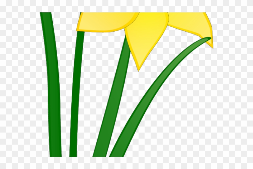Daffodil clipart spring break. Clip art library 