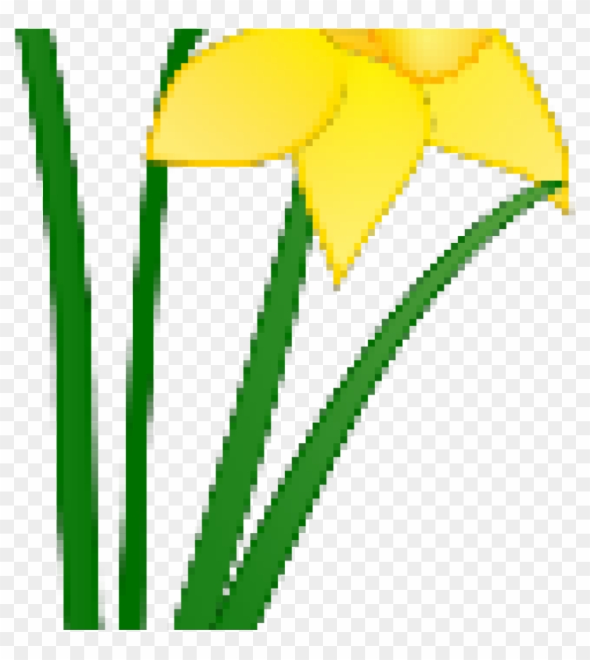 Daffodil clipart trumpet flower. Welsh clip art hd