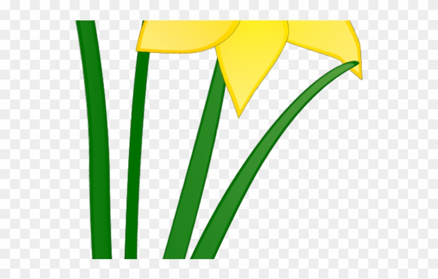 Daffodil clipart wind. Png download pinclipart 