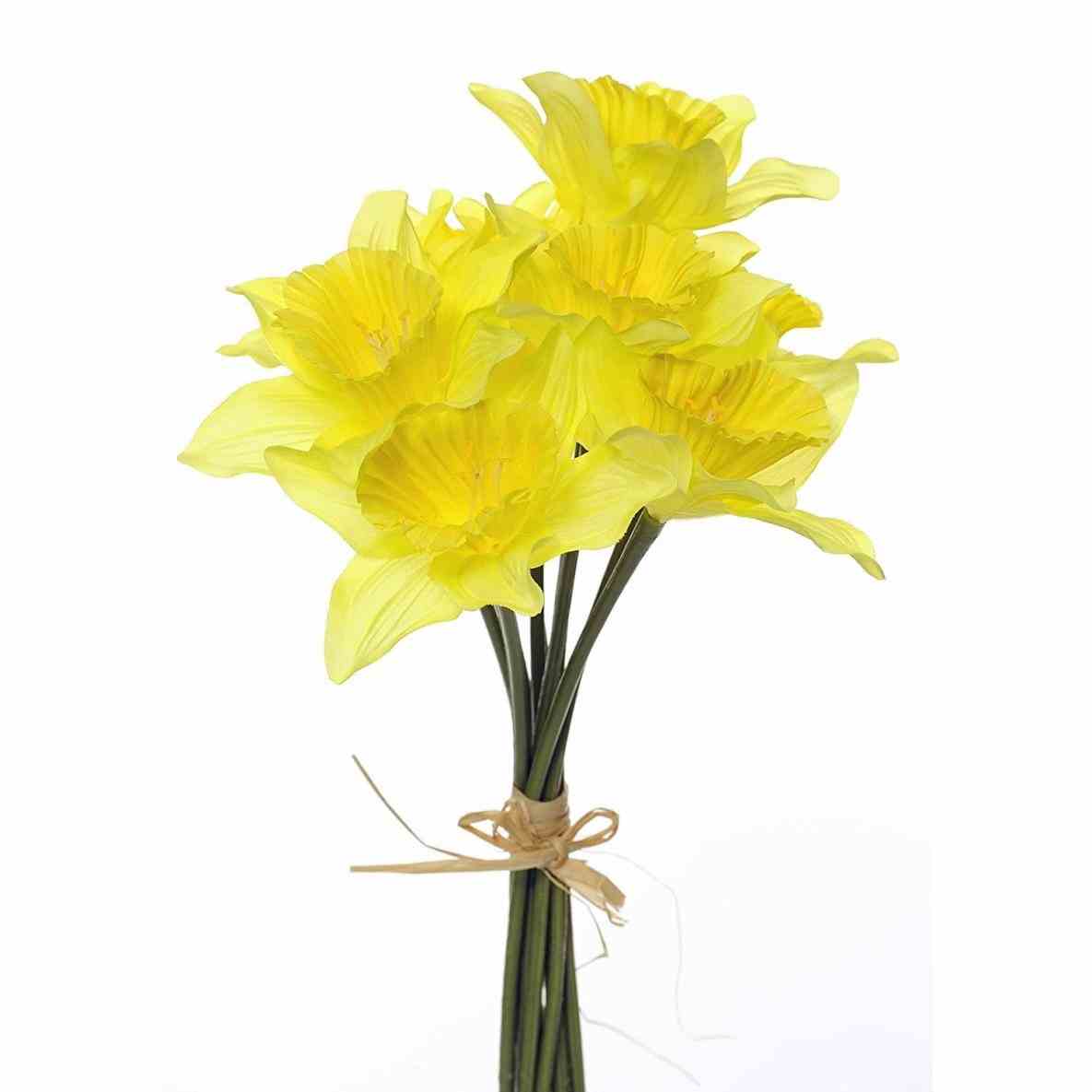 Daffodil clipart wind. X free clip art
