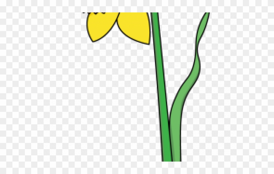 Daffodils yellow png download. Daffodil clipart wind