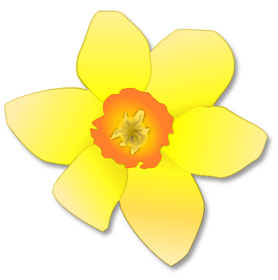 daffodil clipart yellow daffodil