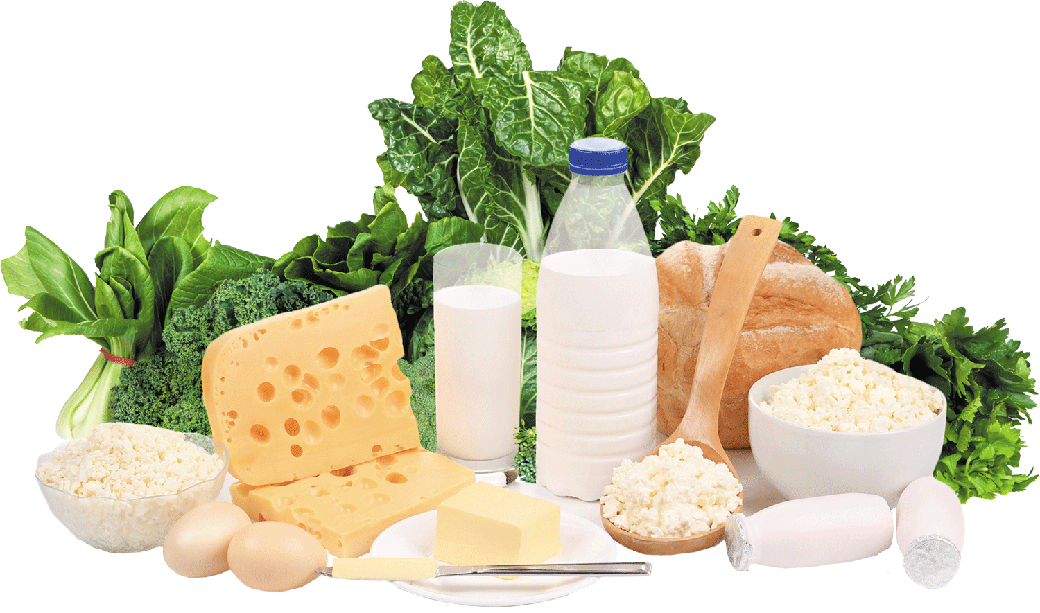 dairy clipart calcium food