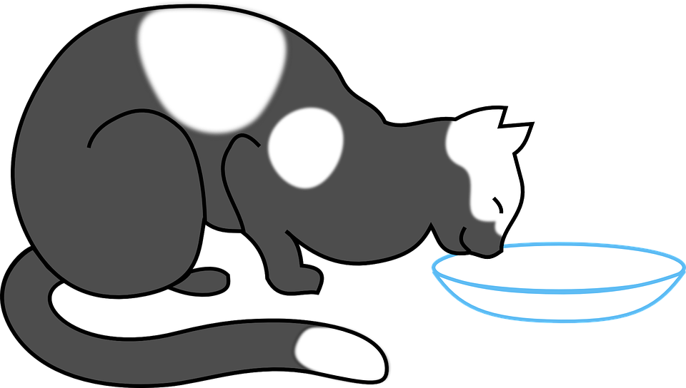 milk clipart cat