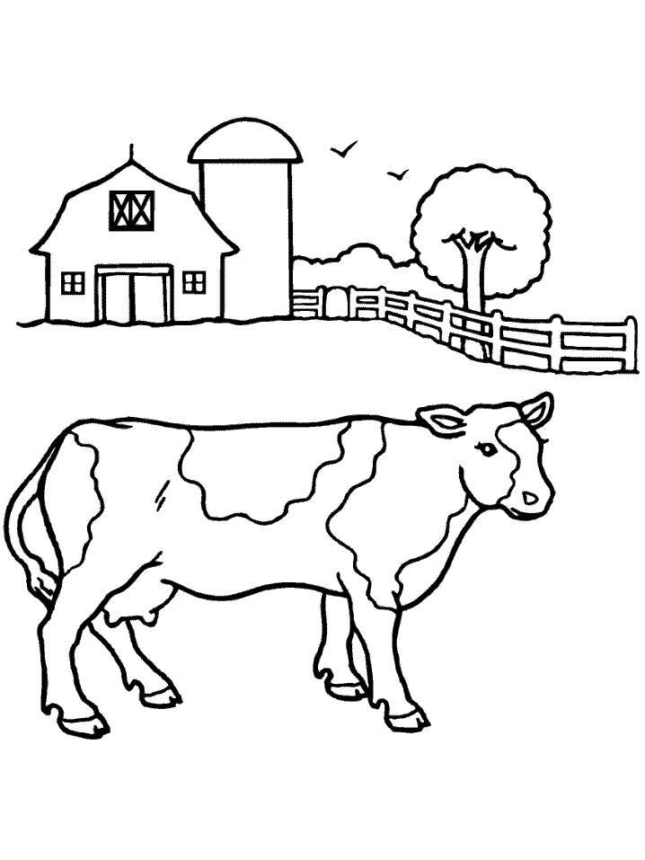 ox clipart colouring page