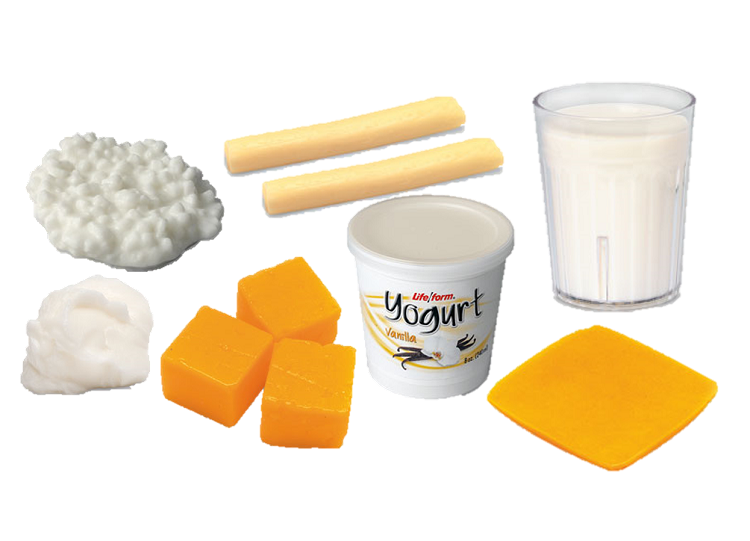 Foods model kit . Dairy clipart dairy food