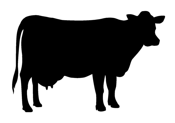 dairy clipart dairy industry