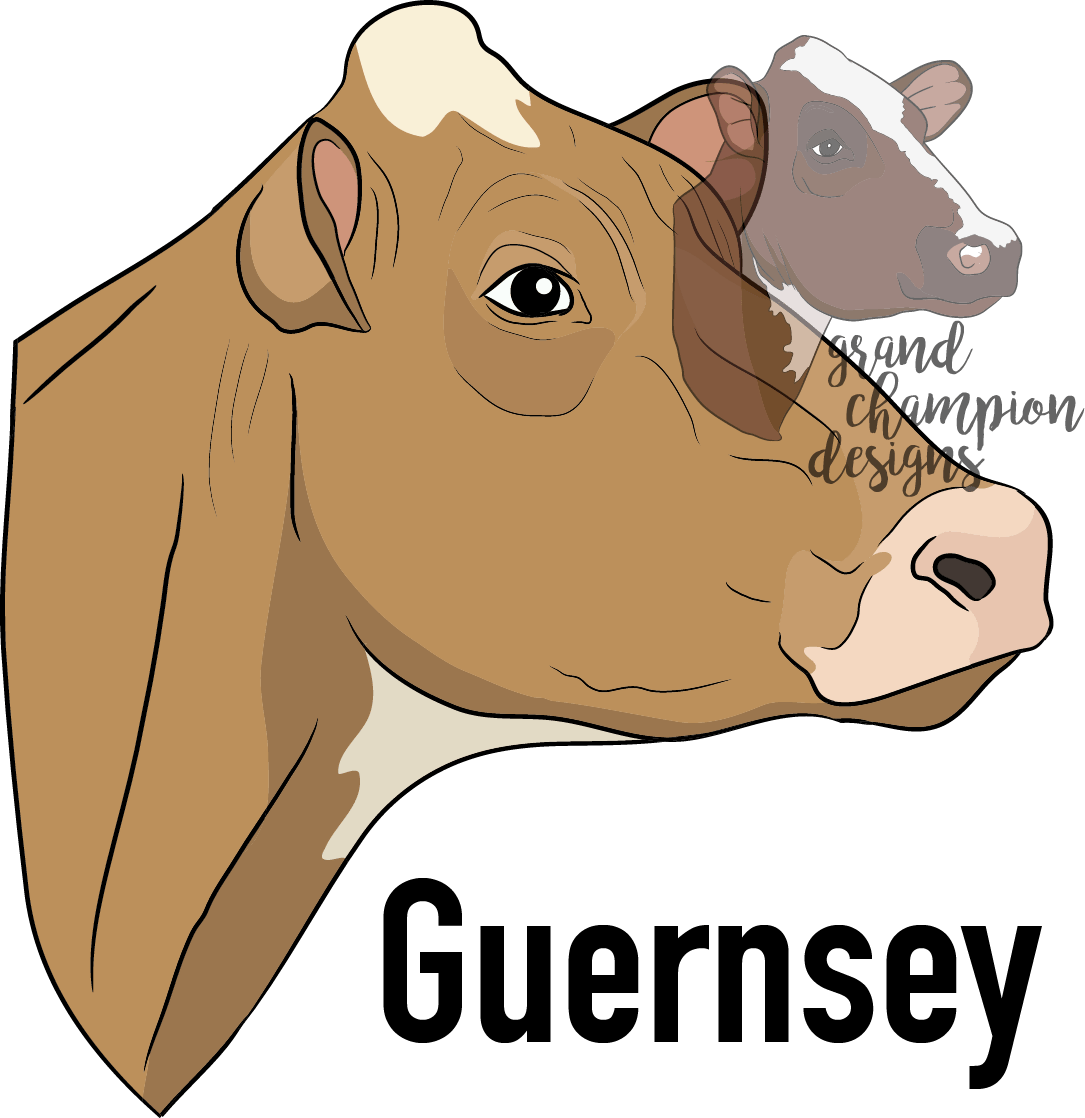 Guernsey cow window clings. Dairy clipart dairy item