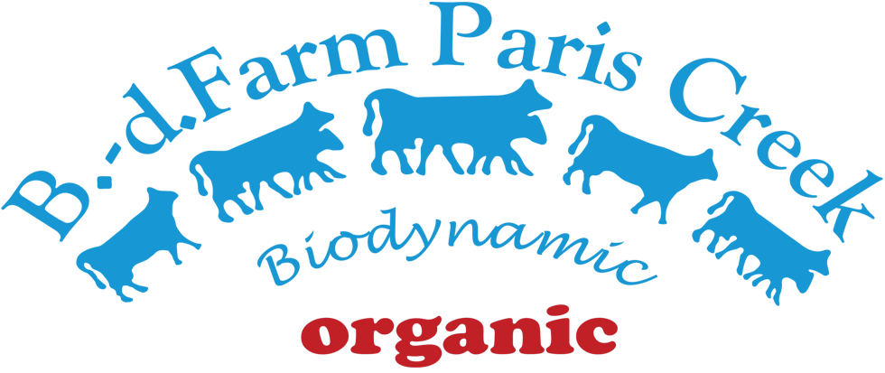 dairy clipart fermented food