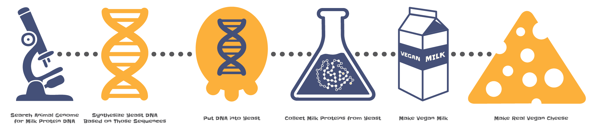 Real vegan indiegogo . Dairy clipart round cheese