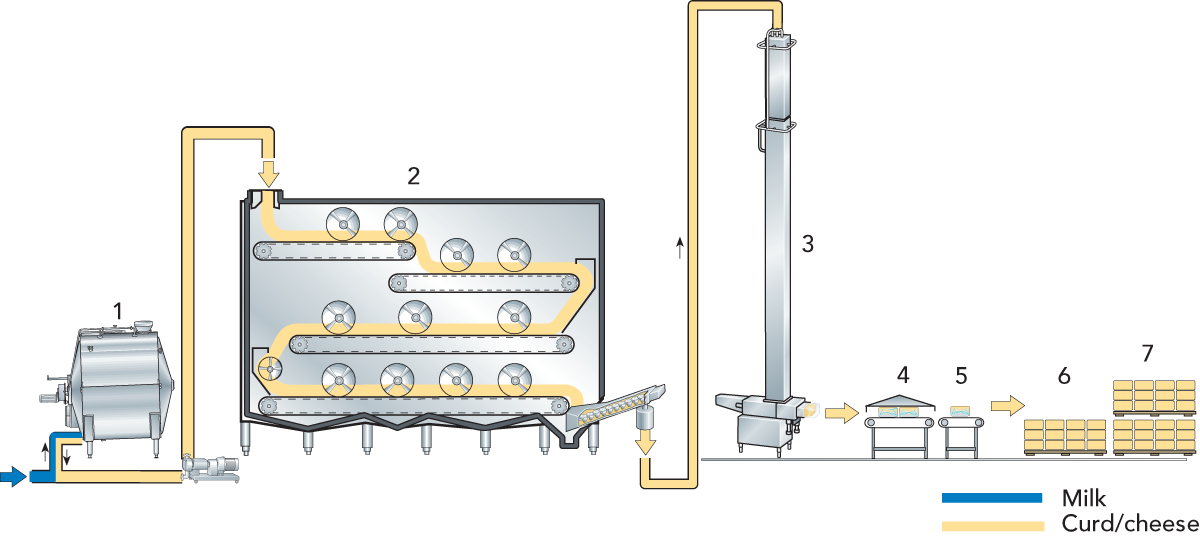 Processing handbook . Dairy clipart round cheese