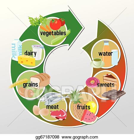 Vector infographic of groups. Grains clipart dairy group