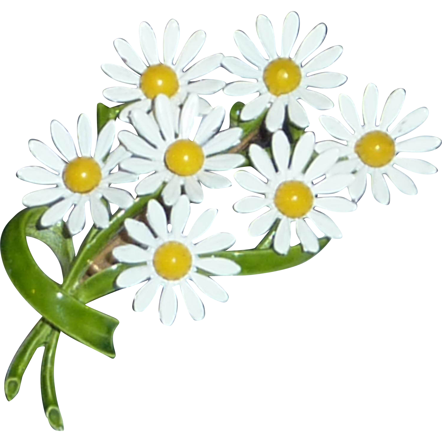 daisies clipart baby