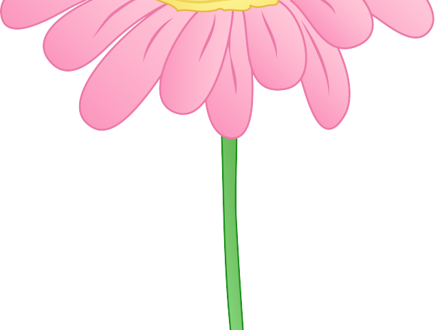 daisies clipart boarder