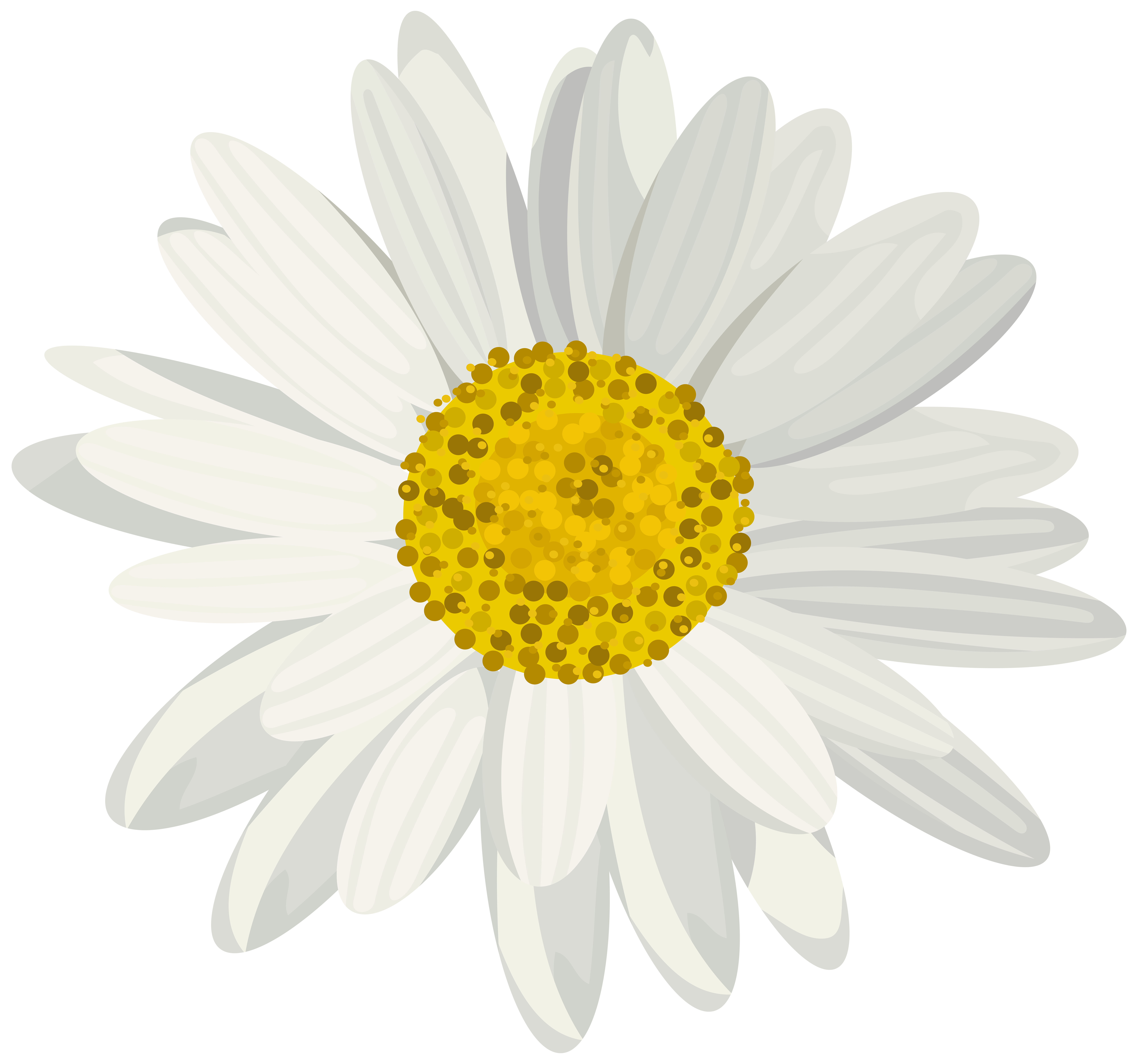 Daisy Png File Png Svg Clip Art For Web Download Clip Art Png Icon Arts