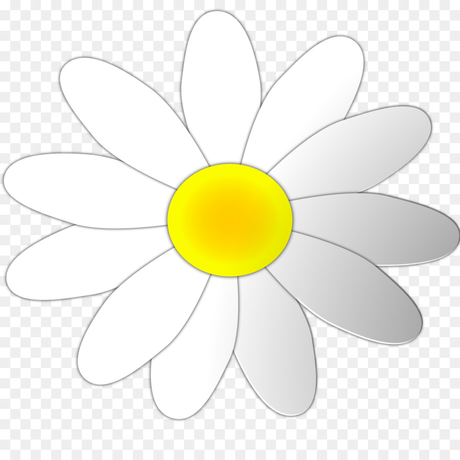daisies clipart circle