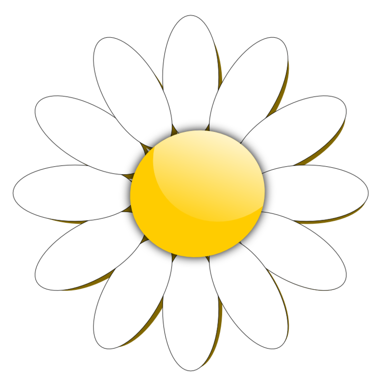 daisy clipart flower head