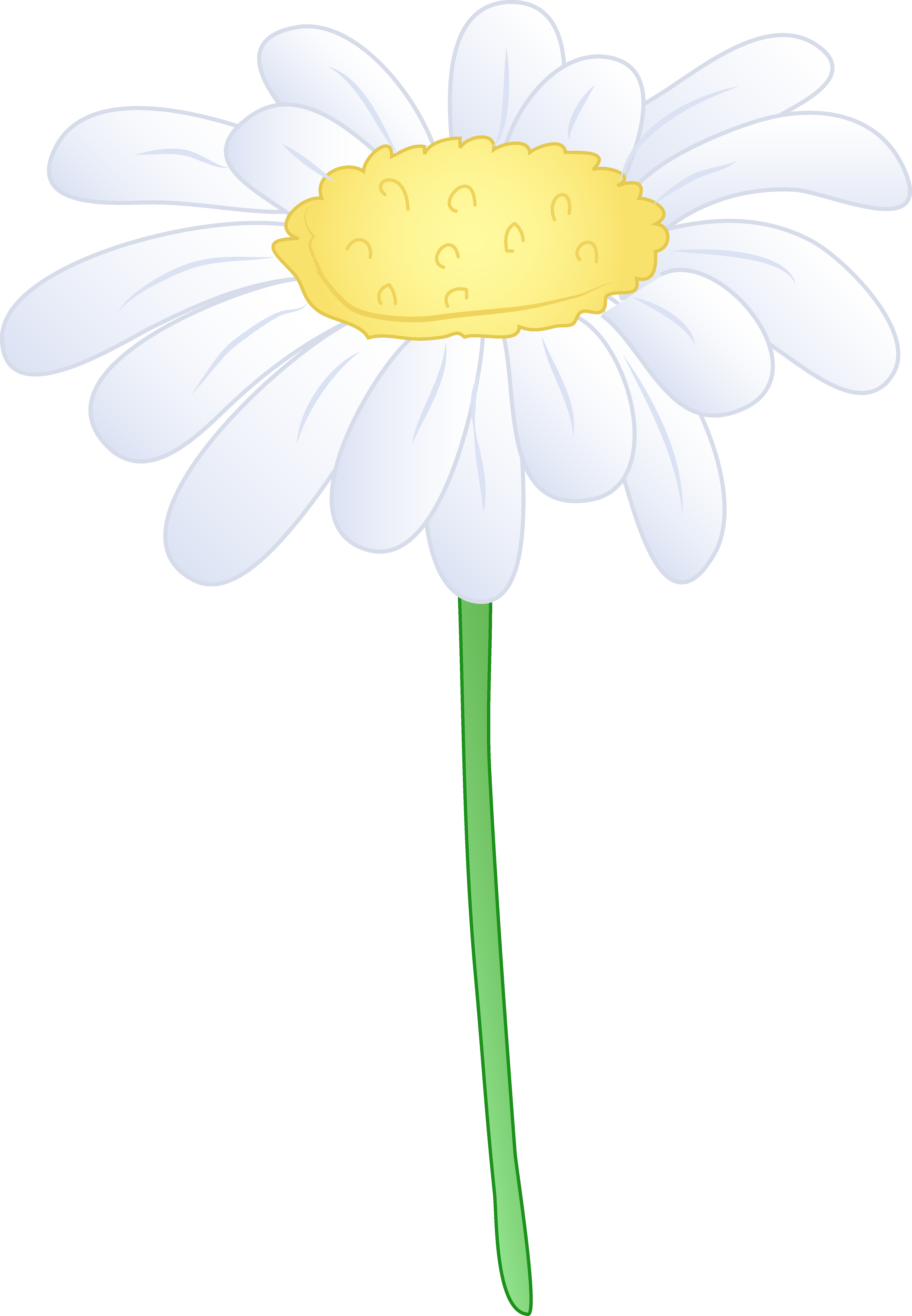 daisy clipart field daisy