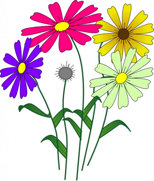 Gerber free download best. Daisies clipart colorful daisy