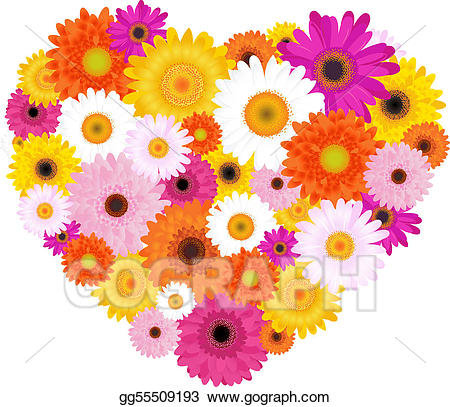Vector illustration heart made. Daisy clipart colorful daisy