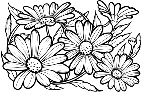Coloring page free printable. Daisies clipart colouring