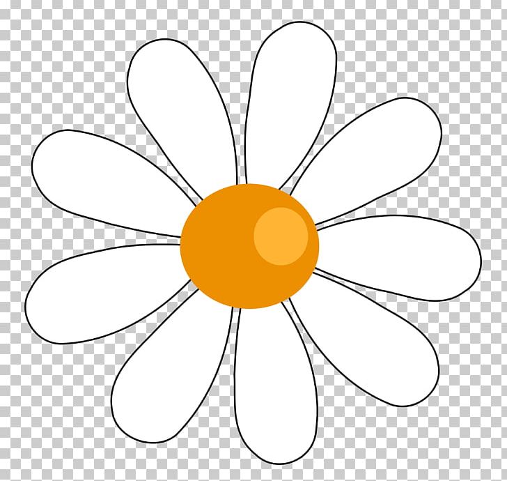 Free content common png. Daisy clipart cute