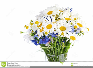 Daisies clipart daisy bouquet. Free images at clker