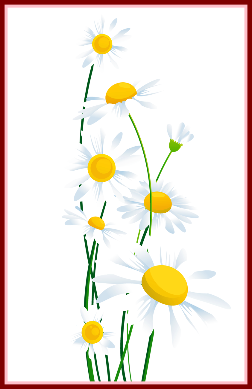 daisies clipart daisy chain