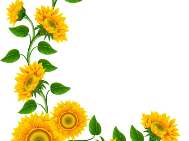 daisies clipart design