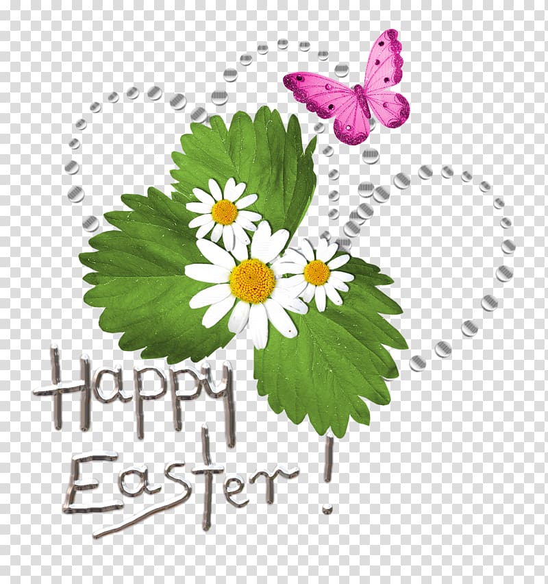 Daisies clipart easter. White daisy flowers with