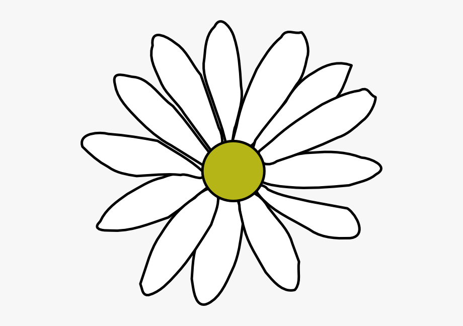 daisy clipart simple daisy