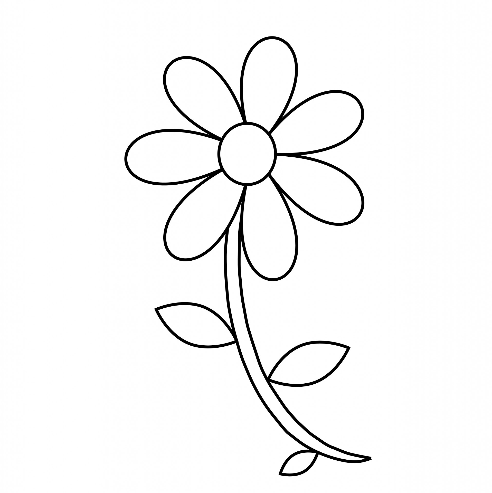 Daisy clipart printable. Free flower outline download