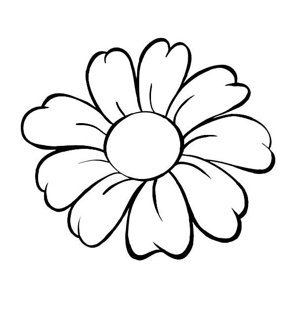 daisy clipart coloring page
