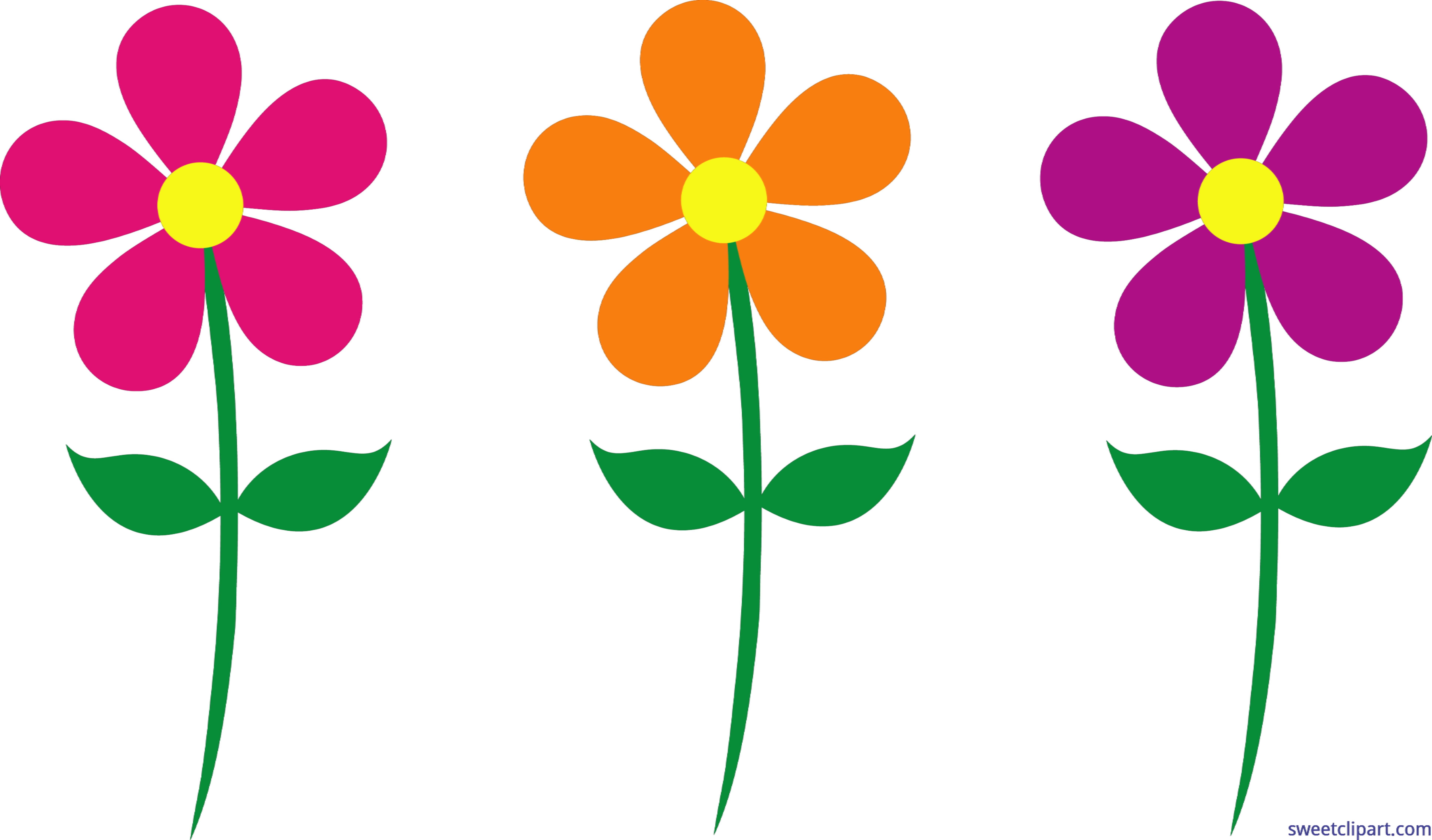 Daisies clipart flower scene. Spring flowers set clip