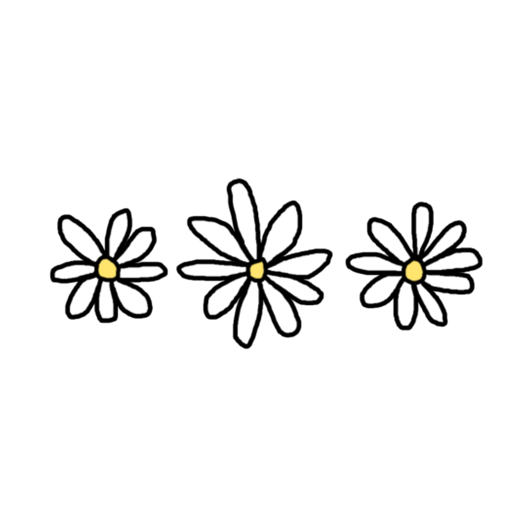 daisies clipart flower tumblr